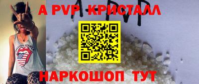 гашик Гатчина