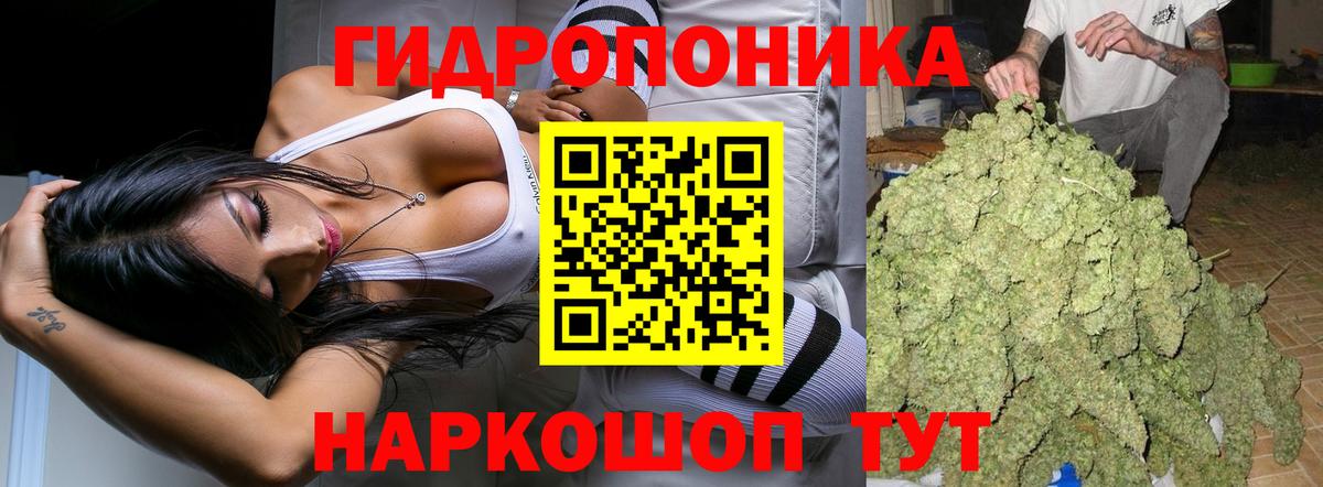 Шишки марихуана марихуана  МАРИХУАНА индика  Вход с VPN  Канабис тримм  Майкоп 